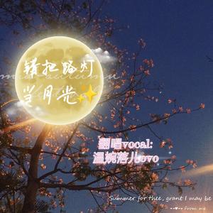 错把路灯当月光