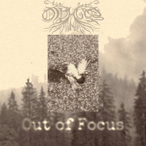 Out of focus（失焦）