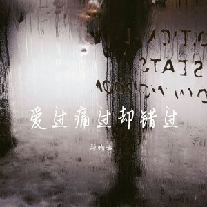 爱过痛过却错过