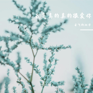 我是真的真的很爱你