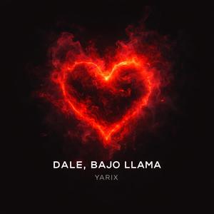 Dale, bajo llama