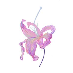 为什么不能是我