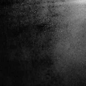 本因有你倍加珍兮