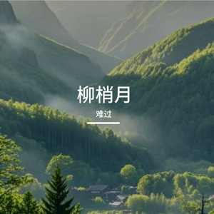 柳梢月