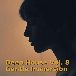 Shadows of Brass & Indigo