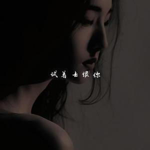 试着去恨你  (1)