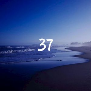 37