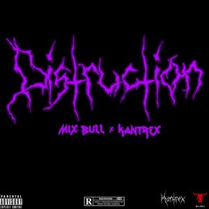 Distruction