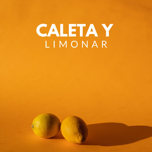 El alma de la copla/En este arroyo se (Fandangos)