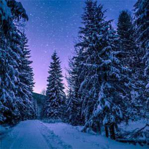 Twenty Thousand Leagues Under The Sea