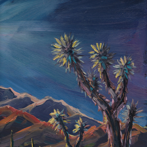Joshua Tree