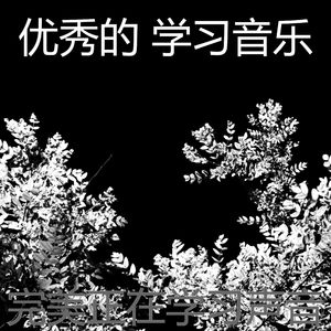 安静的专注声音