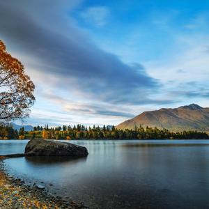 回忆起你心里又在伤痛