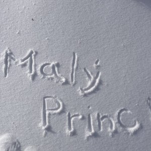 Malý Princ