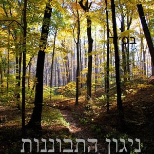 ניגון התבוננות