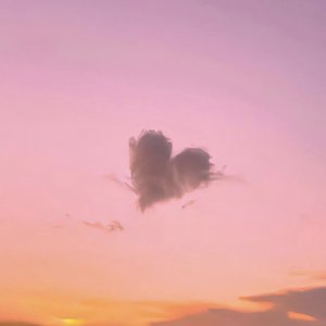 心小到只住得下你