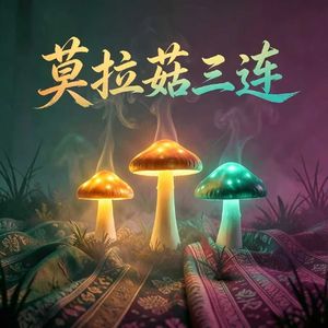 莫拉菇三连