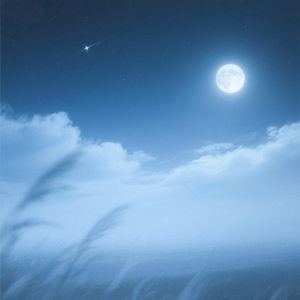 夜幕低垂风轻柔