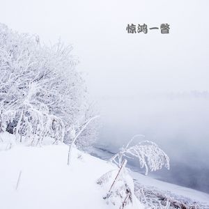 落英缤纷 (小提琴)