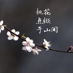 桃花点缀于山间.(demo)