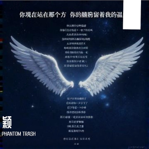 Wing - 颖