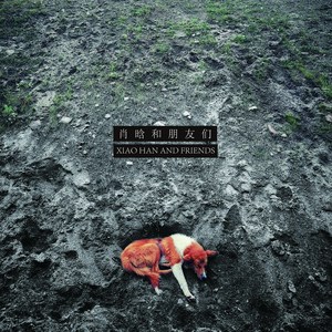 残破的夏天是场孤独的冒险