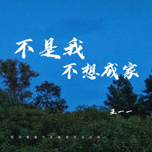 不是我不想成家