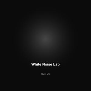 White Noise Lab