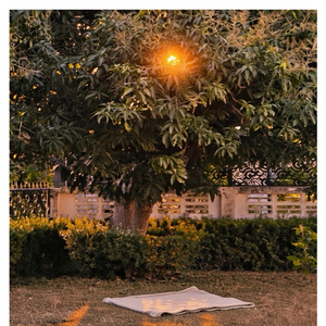 When I'm in Thailand and sit under the mango tree