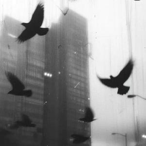 给不了你要的爱就say bye (降速版)