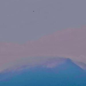青