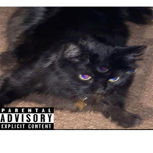 Spend the night (feat. heart eyes)