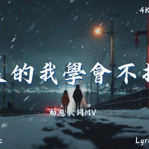 后来的我学会不打扰