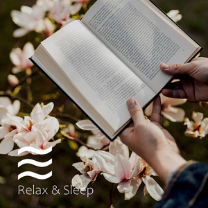 Ruido perfecto para concentración mejor