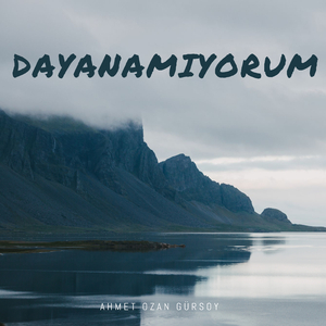 Dayanamıyorum (Enstrumental)