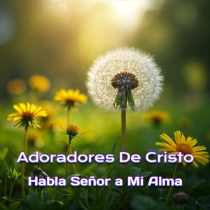 El Cielo Proclama La Gloria De Dios