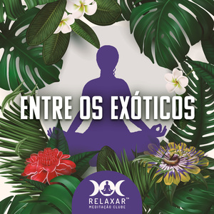 Purificação repousante