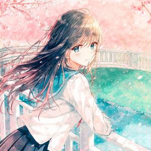 下一次，樱花飞舞时