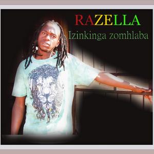 Izinkinga Zomhlaba
