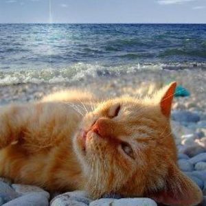 “夏日循环” Rnb X Guitar Beat