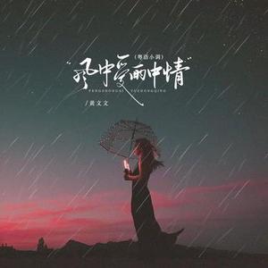 风中爱雨中情（DJ版）