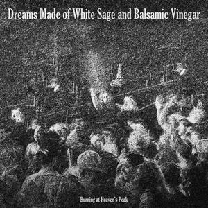 Wasting as Everyone Gazes Towards The Sun