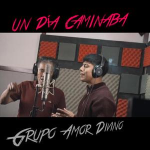 UN DÍA CAMINABA