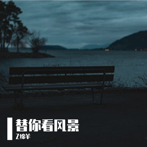 替你看风景
