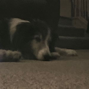 secret lovers at the heaven's gate ranch