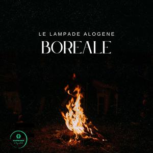 Boreale