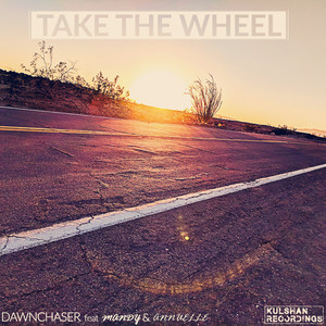 Take The Wheel (Instrumental Mix)