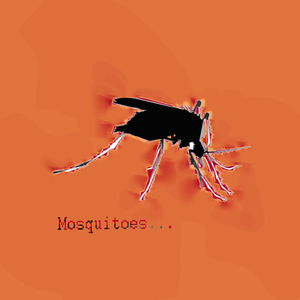 Mosquito！！