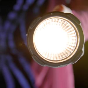 Light