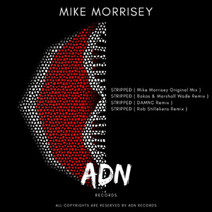 Stripped (DAMNC Remix)